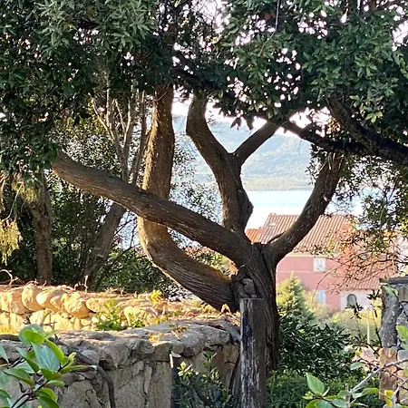 Elisa * ポルト・ロトンド